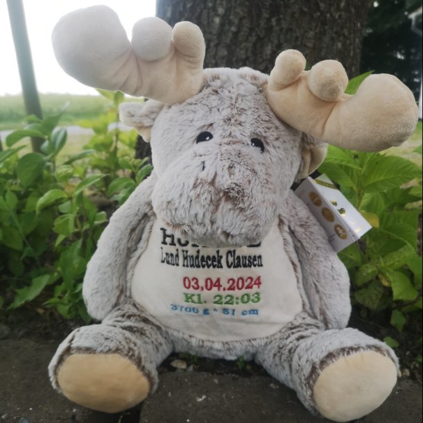 Bamse Elg "Elliot" - super bl�d