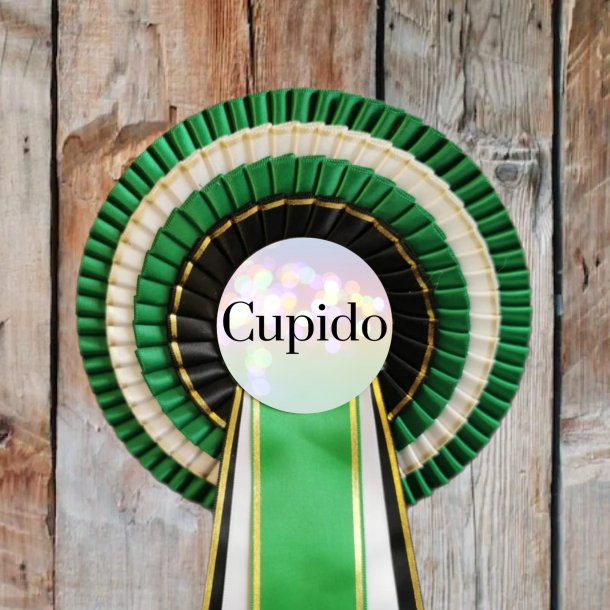 CUPIDO