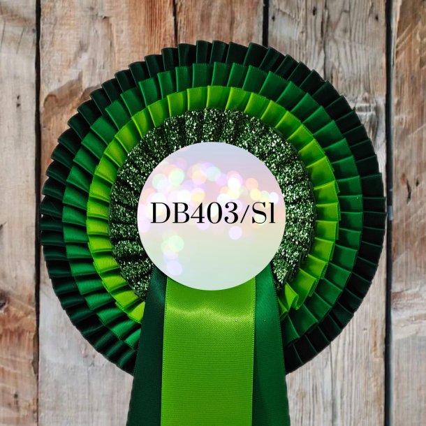 DB403 Shine One 38 kr