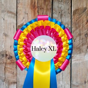 HALEY XL Roset