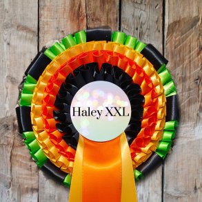 HALEY XXL Roset