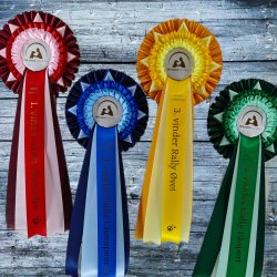 KINGSTON SMALL 70 kr