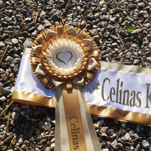 Konfirmationss�t nr 14 med Dahlia &amp; Eragon B�nd