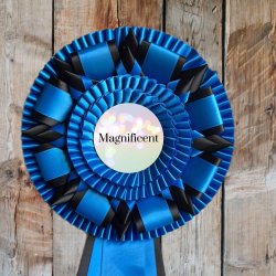 MAGNIFICENT Roset