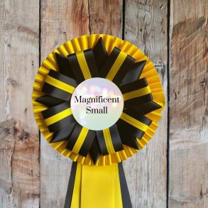 MAGNIFICENT SMALL Roset