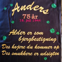 DESIGN din egen pude