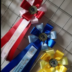 FLAXE Roset