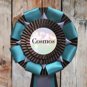 COSMOS Roset