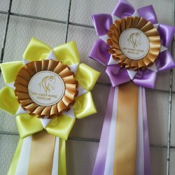 DAFFODIL Roset