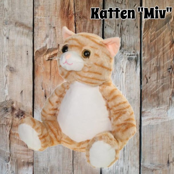 Katten "Miv"