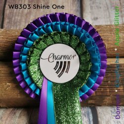 WB303 SHINE ONE 38 kr