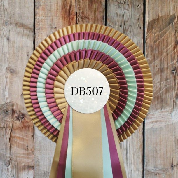 DB507