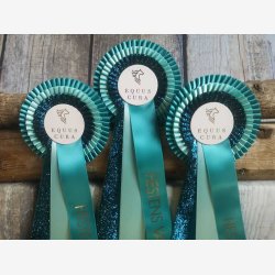 DB303 ShineOne 32 kr