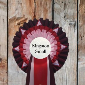 KINGSTON SMALL