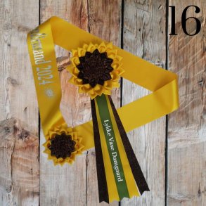 Konfirmationsst nr 16