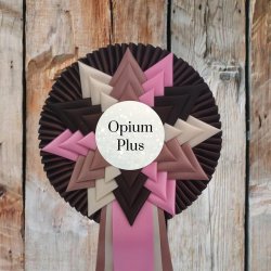 OPIUM PLUS