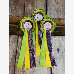 DB303 ShineOne 32 kr