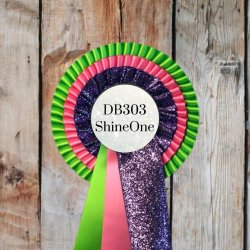 DB303 ShineOne 32 kr