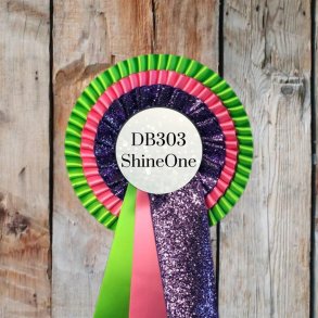 DB303 ShineOne 32 kr