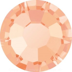 APRICOT HF (Preciosa VIVA12)