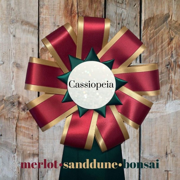 CASSIOPEIA
