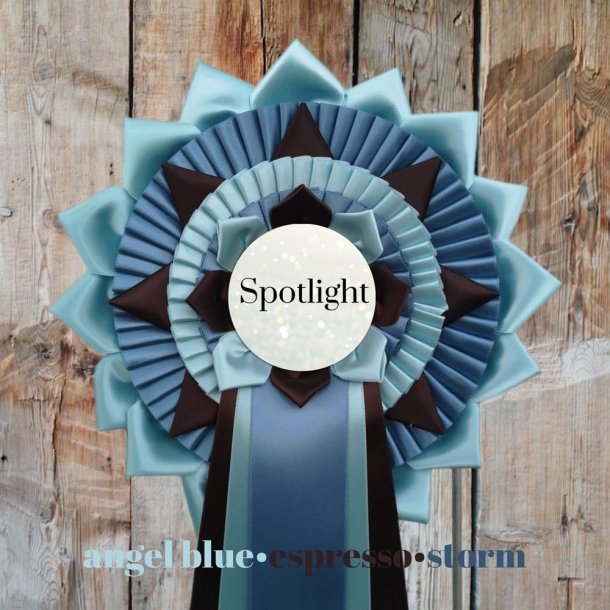 SPOTLIGHT