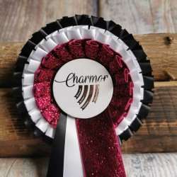 WB303 SHINE ONE 38 kr