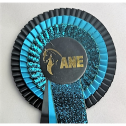 DB303 ShineOne 32 kr