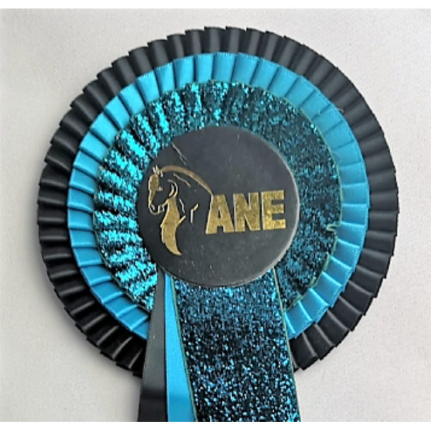 DB303 ShineOne 32 kr