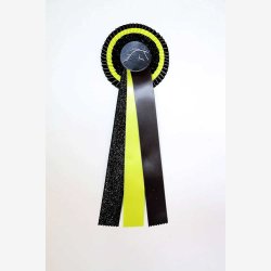 DB303 ShineOne 32 kr