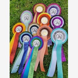 DB303 ShineOne 32 kr