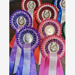 WB303 SHINE ONE 38 kr