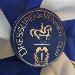 Satintryk (p logo/rondel)