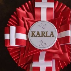 Satintryk (p logo/rondel)